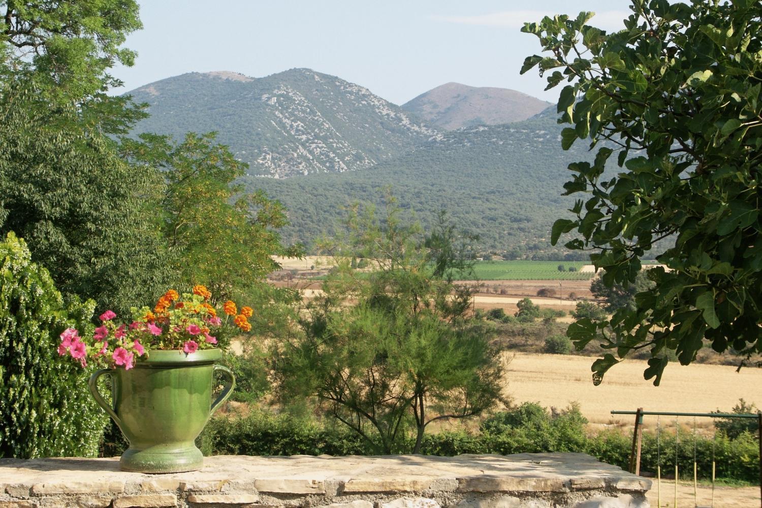 Domaine De Blancardy Hotel Moules-et-Baucels ภายนอก รูปภาพ